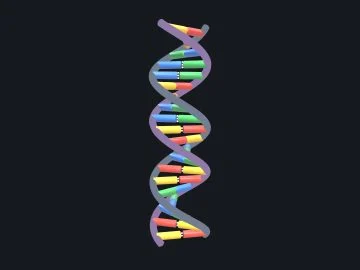 DNA