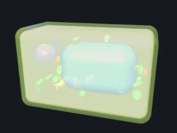 Plant cell